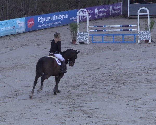 Reitturnier Scharnebeck 2025