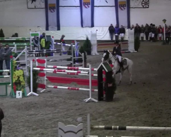 Reitturnier Legden 2013