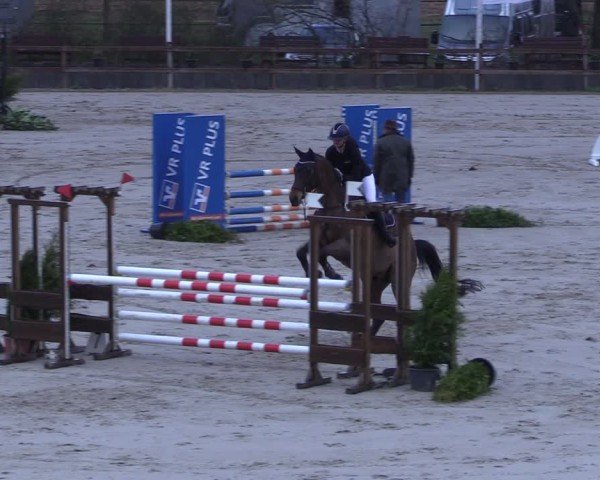 Reitturnier Scharnebeck 2025