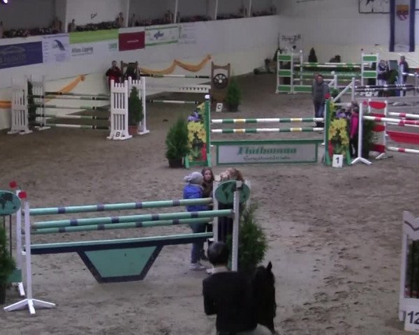 16. Legdener Pony-Meeting