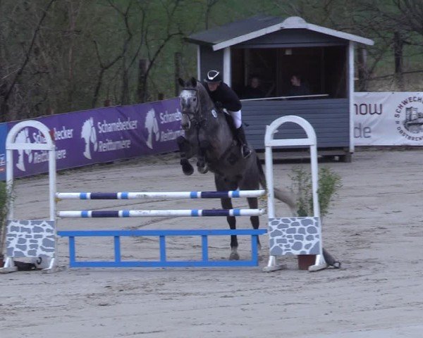Reitturnier Scharnebeck 2025