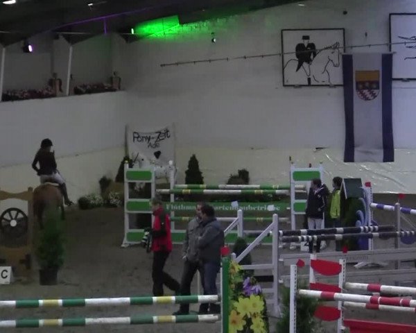 16. Legdener Pony-Meeting