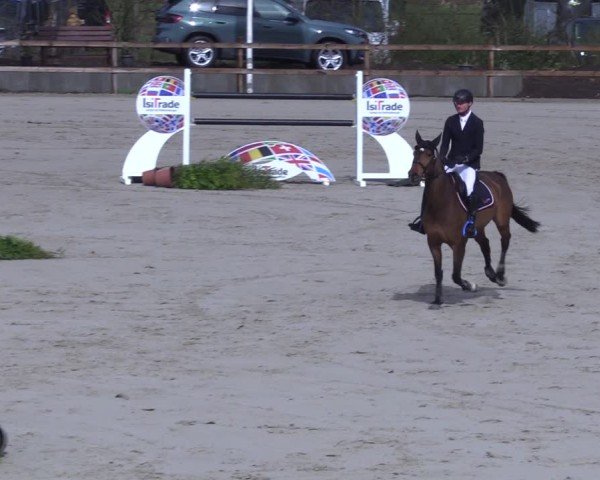 Reitturnier Scharnebeck 2025
