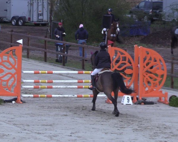 Reitturnier Scharnebeck 2025