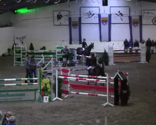 16. Legdener Pony-Meeting