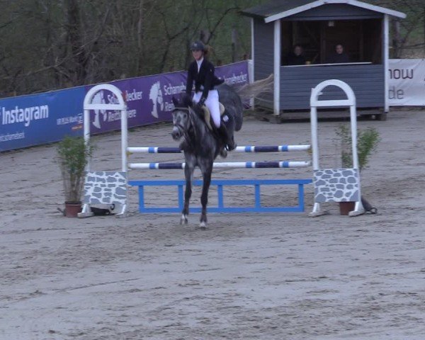 Reitturnier Scharnebeck 2025