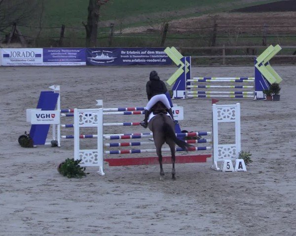 Reitturnier Scharnebeck 2025
