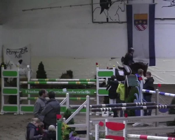 16. Legdener Pony-Meeting