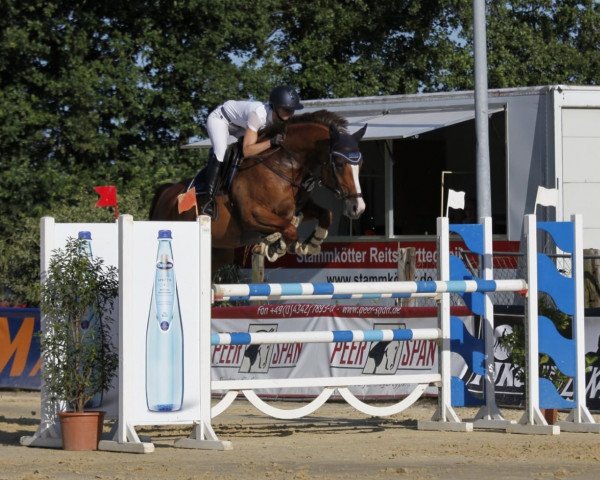 broodmare Taloucine Z (Zangersheide riding horse, 2012, from Taloubet Z)