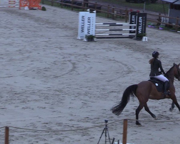 Reitturnier Scharnebeck 2025