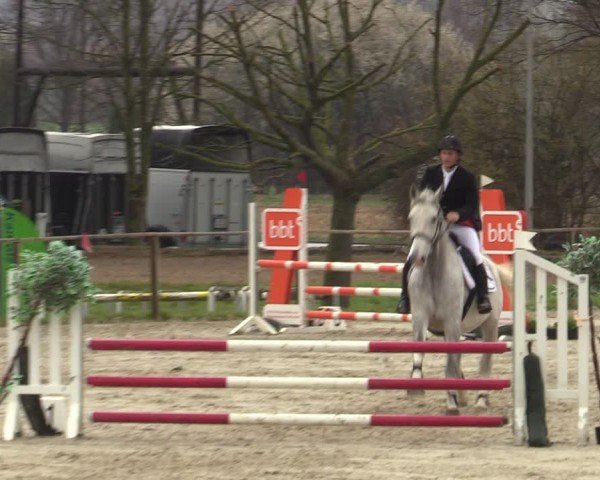 Reitturnier Springe 2025