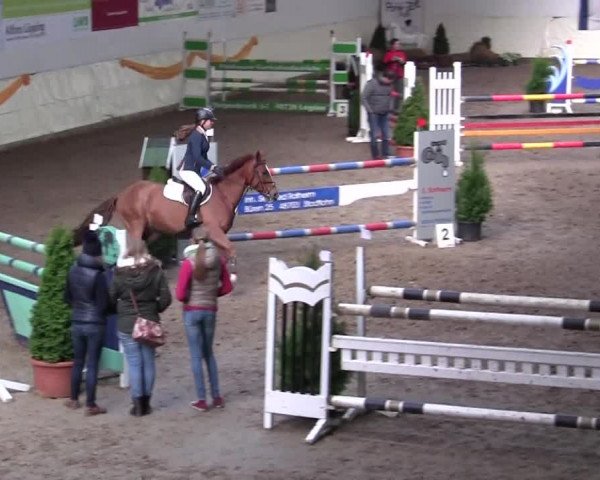 16. Legdener Pony-Meeting