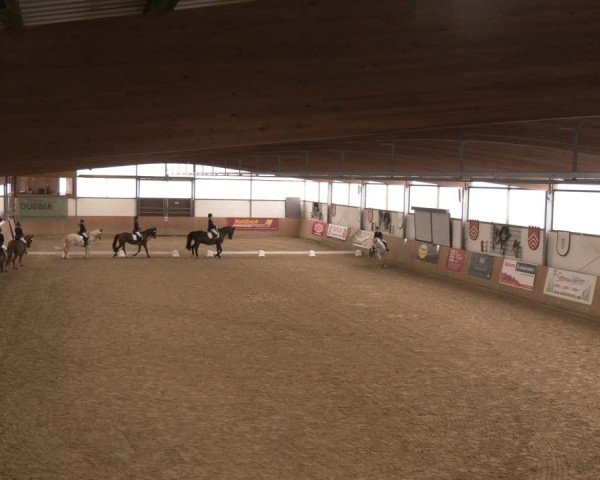 Reitturnier Borgholzhausen 2025