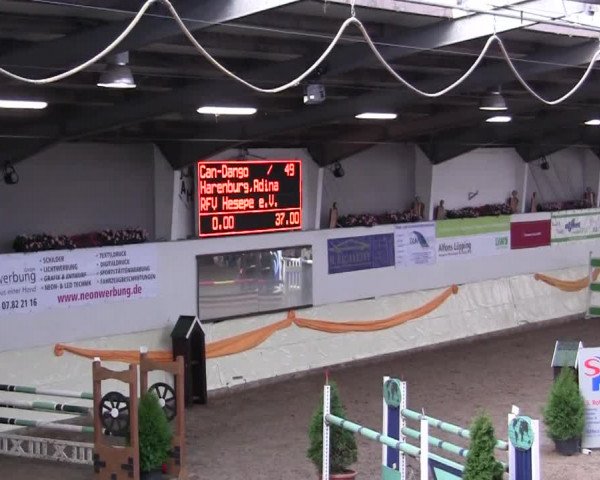 16. Legdener Pony-Meeting