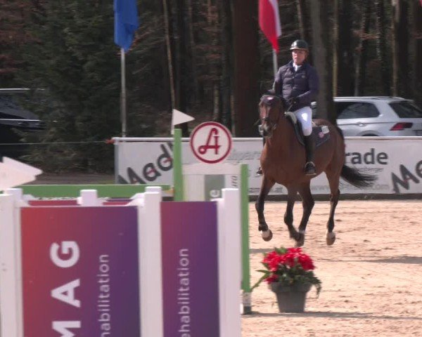 Reitturnier Ranshofen - Braunau am Inn 2025