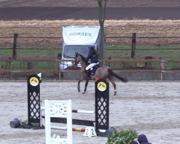 Reitturnier Scharnebeck 2025