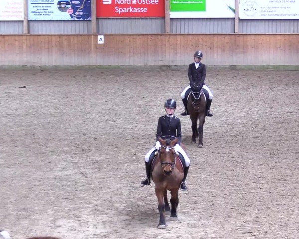Reitturnier Leck 2025