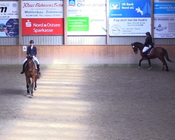 Reitturnier Leck 2025