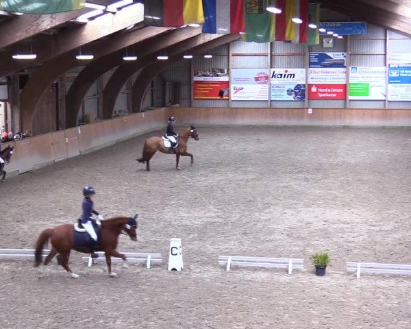 Reitturnier Leck 2025