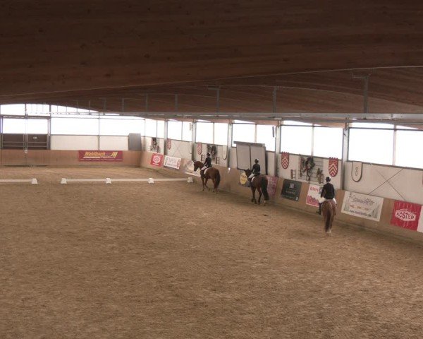 Reitturnier Borgholzhausen 2025