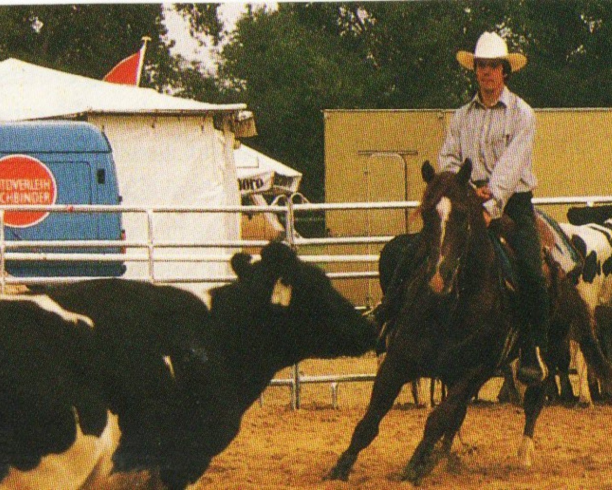Stallone da monta Little Peppy Coke (Quarter Horse, 1985, di Peppy San Badger)