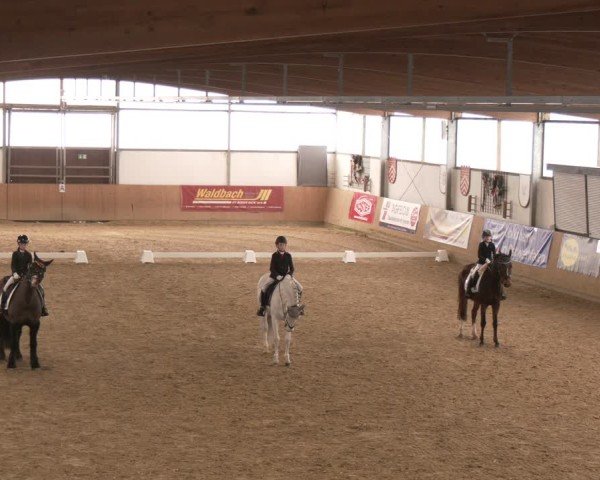 Reitturnier Borgholzhausen 2025