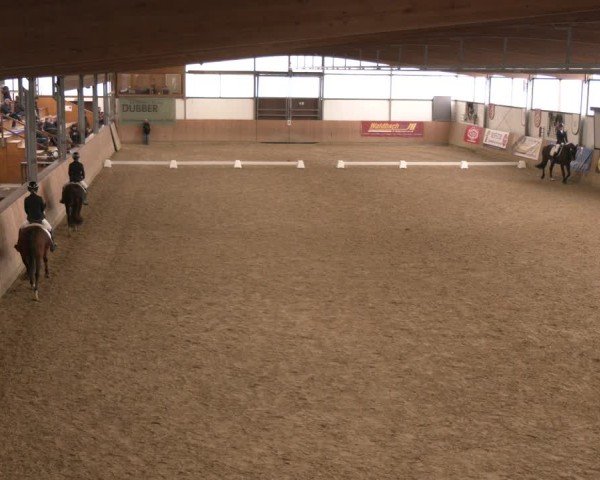Reitturnier Borgholzhausen 2025
