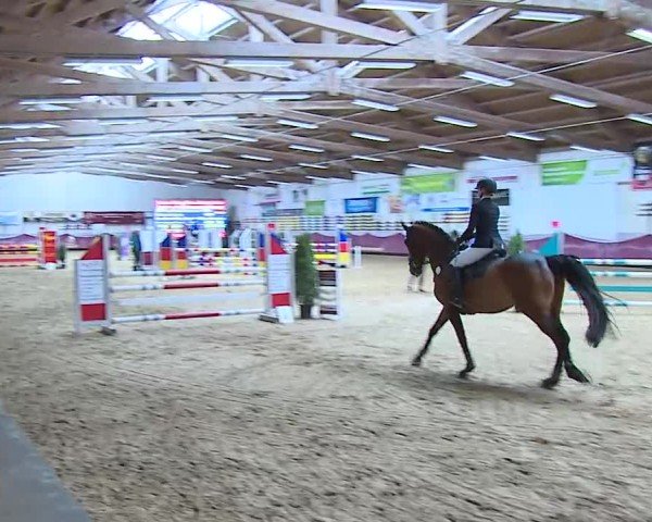 Reitturnier Eicherloh 2025