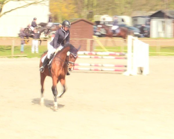 Reitturnier Springe 2025