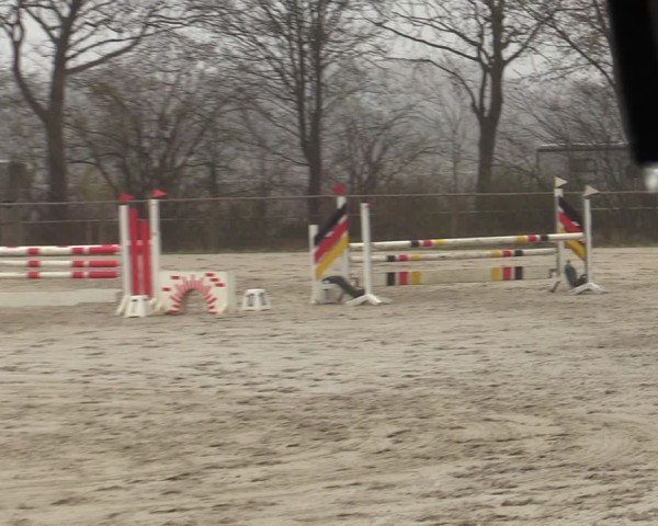 Reitturnier Springe 2025