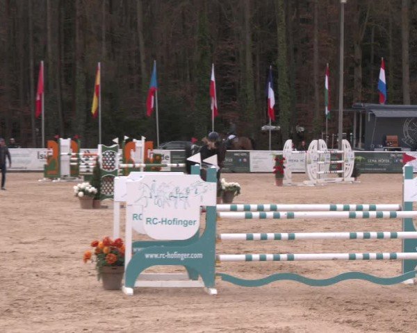 Reitturnier Ranshofen - Braunau am Inn 2025