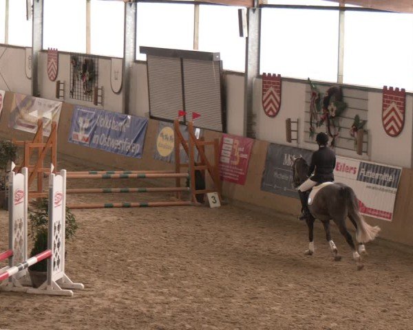 Reitturnier Borgholzhausen 2025