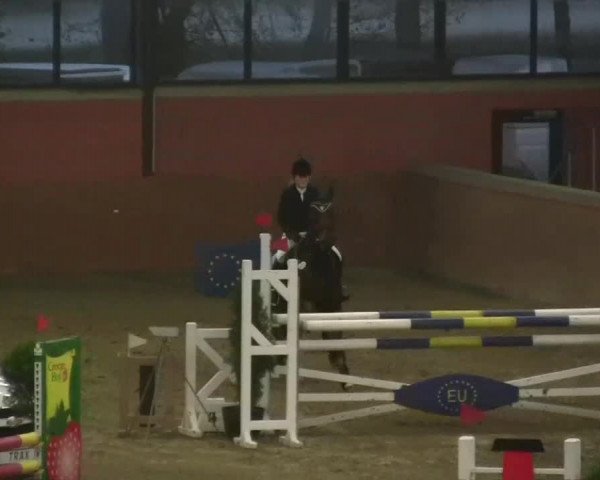 Junior Open 2013