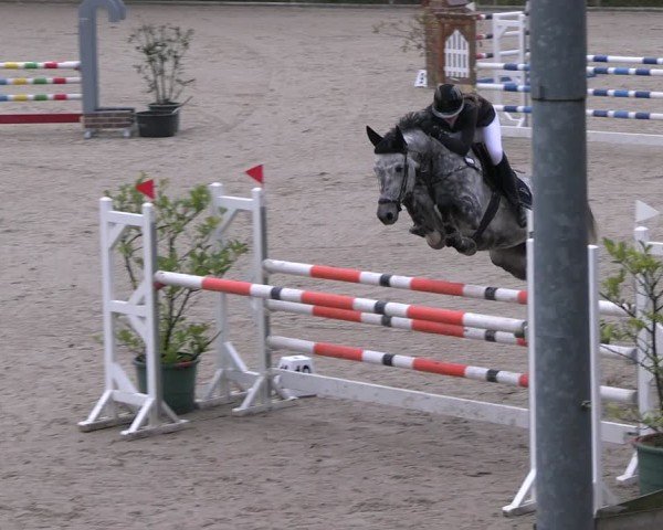 Reitturnier Erkrath 2025