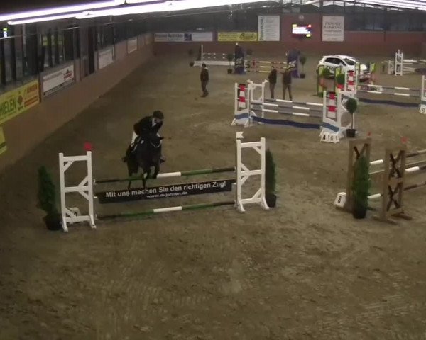 Junior Open 2013