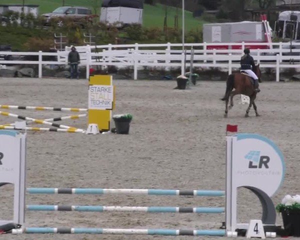 Reitturnier St. Margarethen 2025