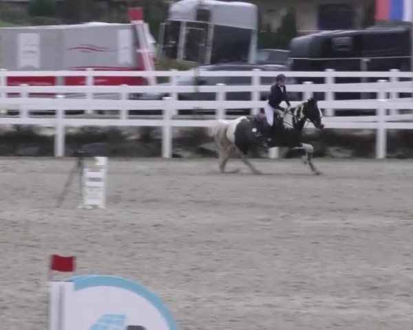 Reitturnier St. Margarethen 2025