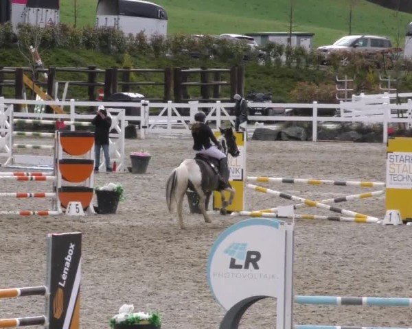 Reitturnier St. Margarethen 2025