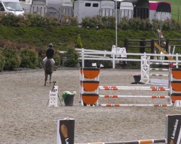 Reitturnier St. Margarethen 2025