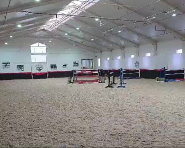 Video of Kannante