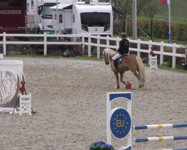 Reitturnier St. Margarethen 2025
