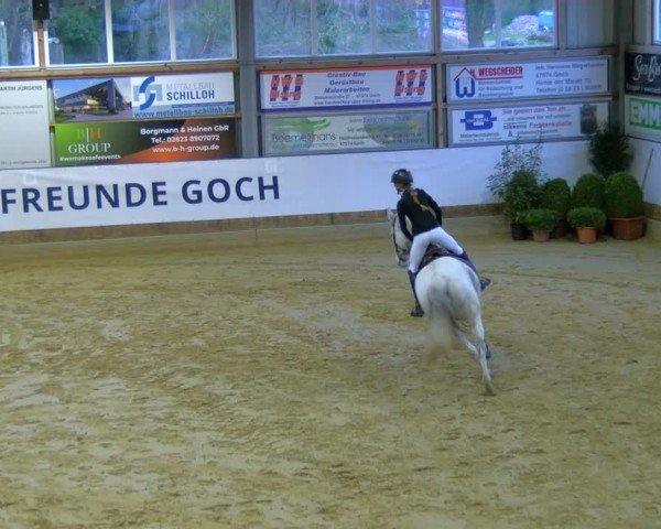 Reitturnier Goch 2025