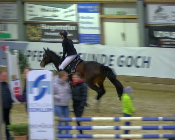 Reitturnier Goch 2025