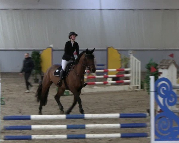 Reitturnier Lentzke 2025