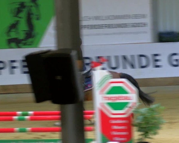Reitturnier Goch 2025