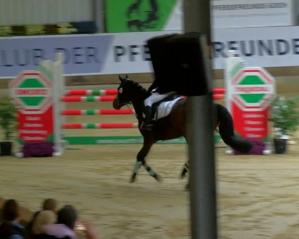 Reitturnier Goch 2025