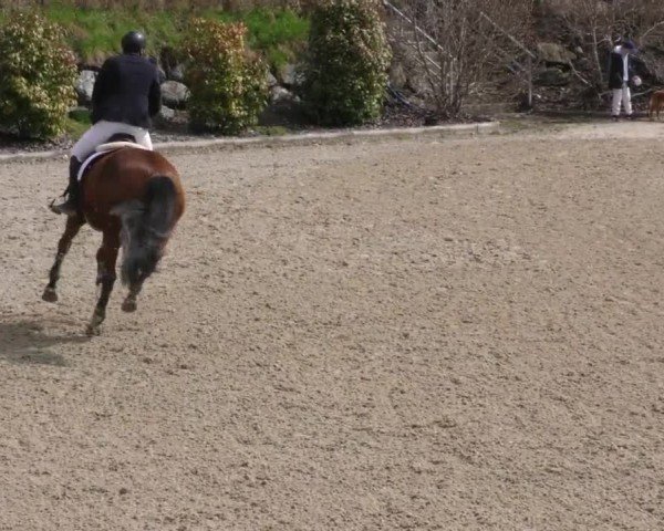 Reitturnier St. Margarethen 2025