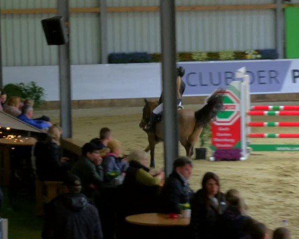 Reitturnier Goch 2025