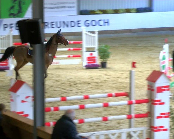Reitturnier Goch 2025