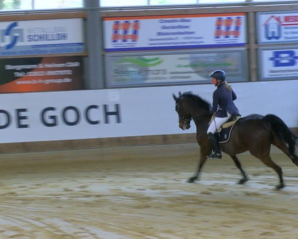 Reitturnier Goch 2025
